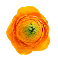 Similar image 5940285