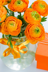 Similar image 5940286