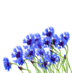 Similar image 5940289