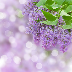 Similar image 5940291