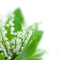 Similar image 5940293