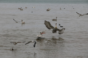 Similar image 5940314