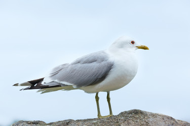 Similar image 5940320