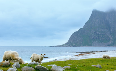 Similar image 5940335