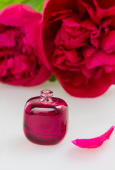 Similar image 5940375