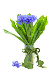 Similar image 5940419