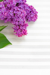 Similar image 5940427