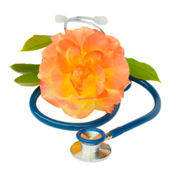 Similar image 5940435