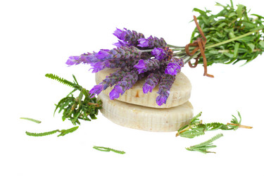 Similar image 5940438