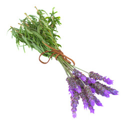 Similar image 5940439