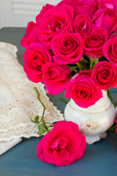 Similar image 5940441