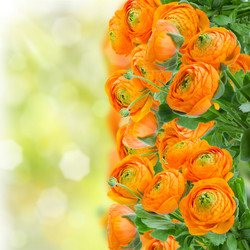 Similar image 5940446