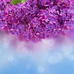 Similar image 5940452