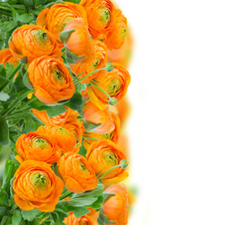 Similar image 5940454