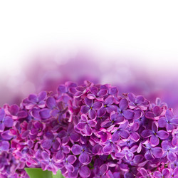 Similar image 5940456