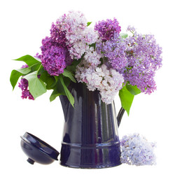 Similar image 5940469