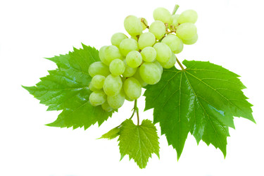 Similar image 5940477