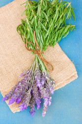 Similar image 5940485