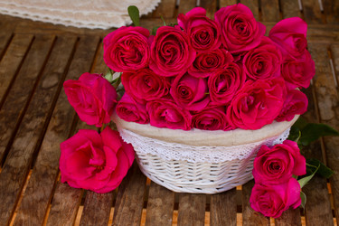 Similar image 5940509