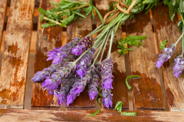 Similar image 5940524