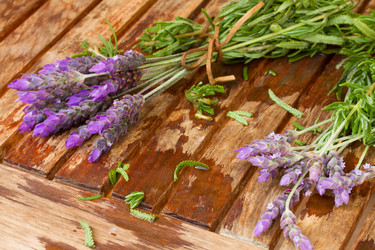 Similar image 5940539