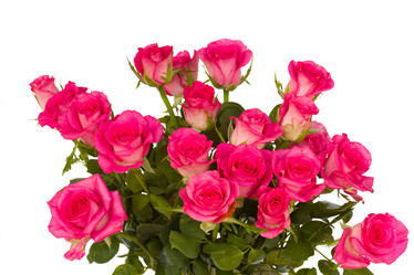 Similar image 5940540