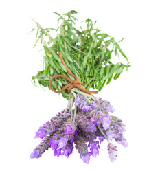 Similar image 5940544