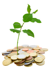 Similar image 5940547