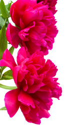 Similar image 5940557