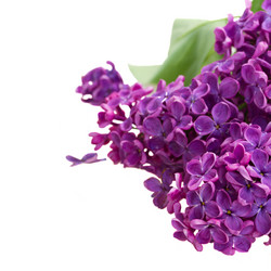 Similar image 5940559