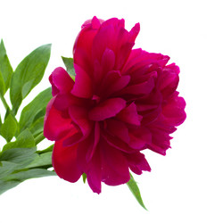 Similar image 5940562