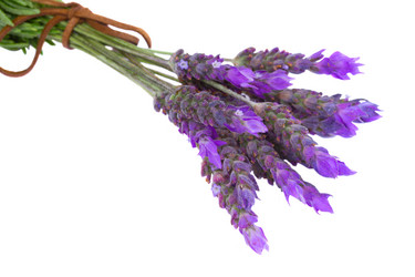 Similar image 5940564