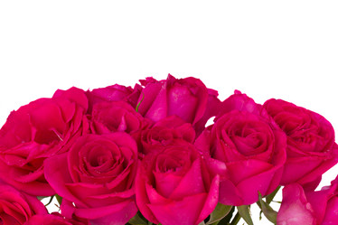 Similar image 5940570