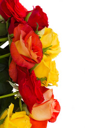 Similar image 5940587