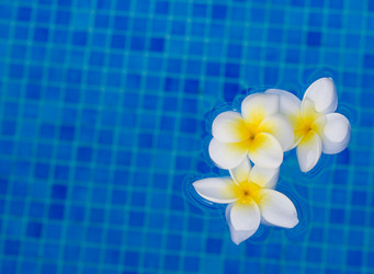 Similar image 5940593