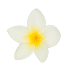 Similar image 5940608