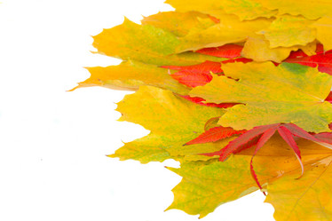 Similar image 5940632