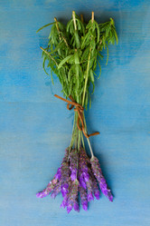 Similar image 5940640