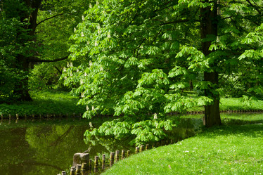 Similar image 5940647