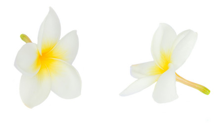 Similar image 5940654