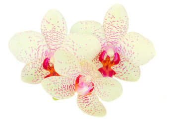 Similar image 5940665