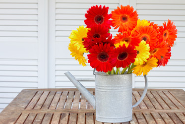 Similar image 5940681