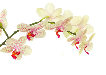 Similar image 5940754