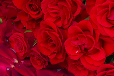 Similar image 5940755