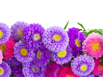 Similar image 5940762