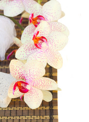 Similar image 5940774