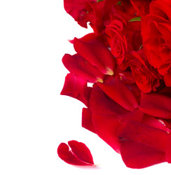 Similar image 5940776