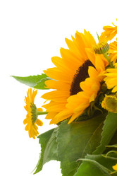 Similar image 5940777