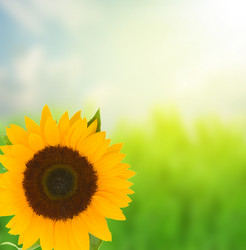 Similar image 5940783