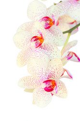 Similar image 5940793